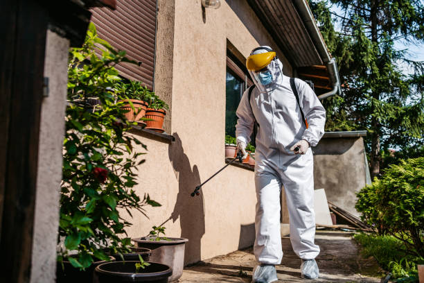 Best Pest Prevention Services  in Orcutt, CA
