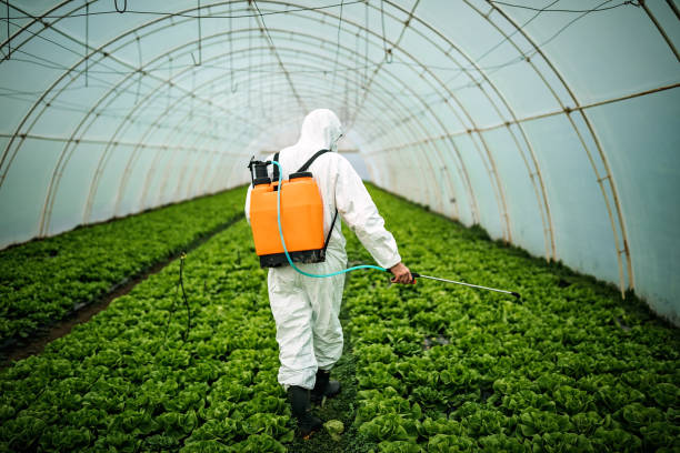 Best Emergency Pest Control  in Orcutt, CA