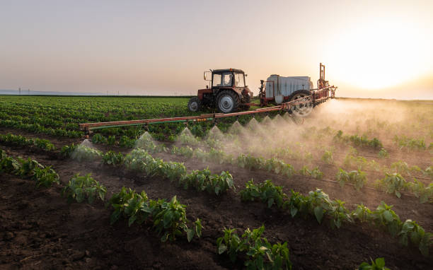 Best Mosquito Control Services  in Orcutt, CA