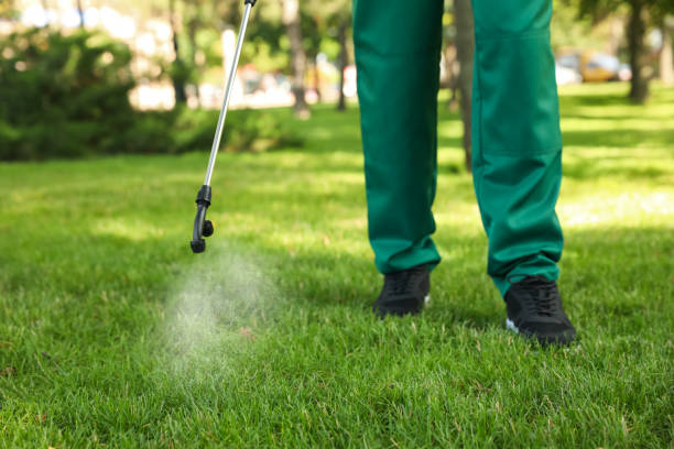 Best Affordable Pest Control Services  in Orcutt, CA