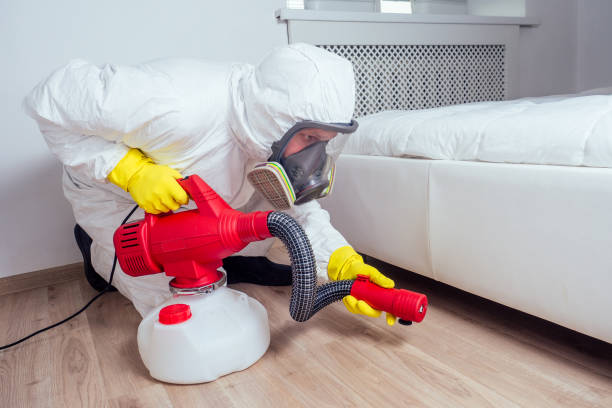 Best Best Pest Control Companies  in Orcutt, CA