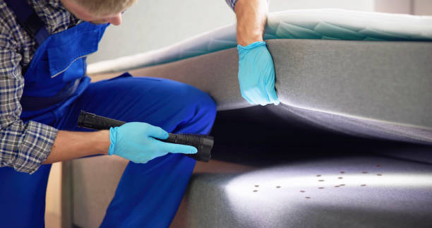 Pest Control for Restaurants in Orcutt, CA