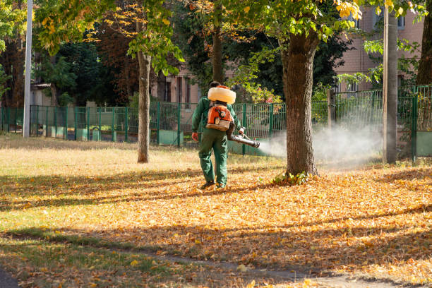 Best Bird Control  in Orcutt, CA